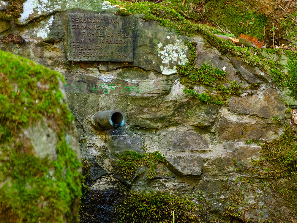 Der Ludwigsborn in Biedenkopf, Brunnen